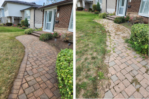 A side-by-side comparison of a residential interlocking brick walkway: the right side shows overgrown weeds and dull stone, while the left side shows a clean, weed-free, and restored path.
