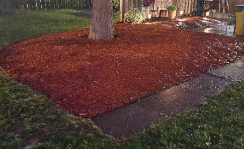A large, neatly edged garden bed filled with fresh red wood mulch surrounding a mature tree in a residential backyard at dusk.