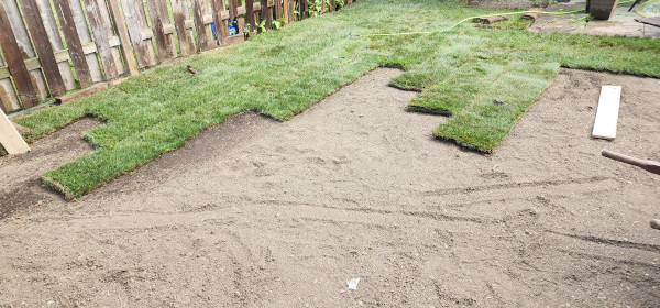 A residential backyard undergoing a professional sod installation, showing new rolls of green grass being laid over prepared soil next to a wooden fence.